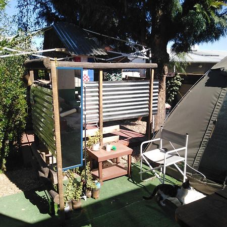 Xenia Bed & Breakfast Windhoek Exteriör bild