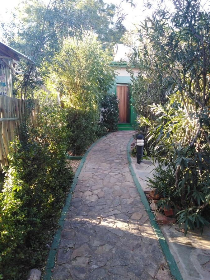 Xenia Bed & Breakfast Windhoek Exteriör bild